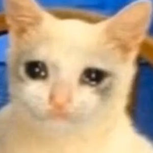 Meet your Posher, Janae